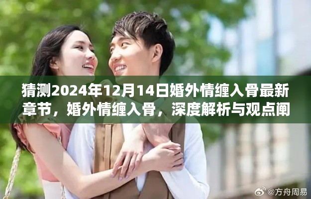 婚外情缠入骨深度解析与观点阐述，最新章节预测至2024年12月14日