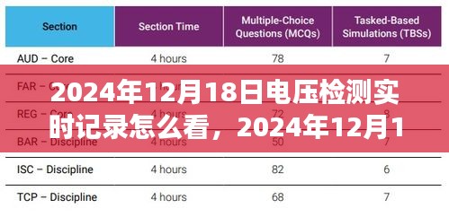 电压检测实时记录解读，深度剖析数据意义与观察方法（针对2024年12月18日）