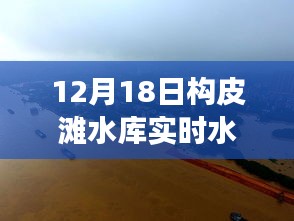 2024年12月18日 第21页