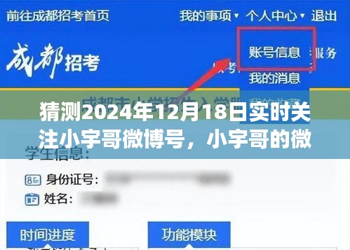 小宇哥微博日常，温馨陪伴之旅，实时关注小宇哥微博号，猜测2024年12月18日动态