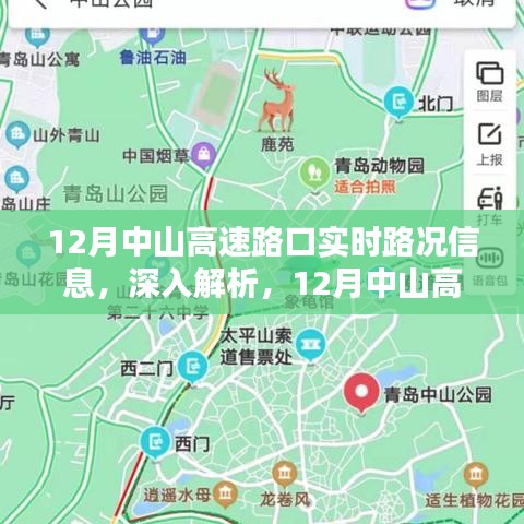 12月中山高速路口实时路况深度解析与全面评测