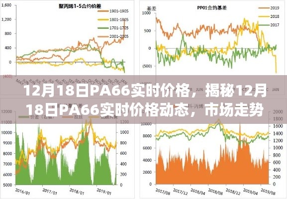 揭秘，12月18日PA66实时价格动态及市场走势分析与预测