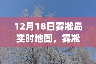 雾凇岛导航之旅，初学者指南，12月18日实时地图使用步骤与雾凇岛美景展示