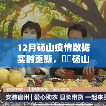 砀山疫情最新动态，12月实时更新数据与防控进展报告