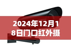 2024年12月19日 第12页