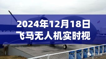 飞马无人机实时视频体验，探索未来空中视界新篇章（2024年12月18日）