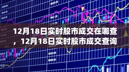 12月18日实时股市成交查询平台详解与测评