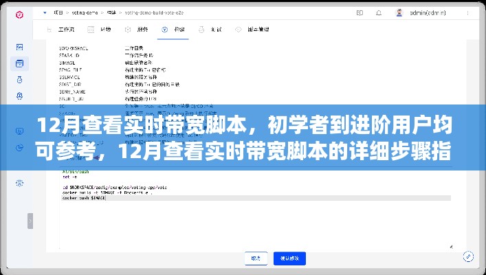 12月实时带宽查看脚本详解，从初学者到进阶用户的实用指南