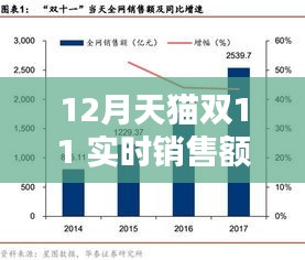 揭秘双十二天猫双11实时销售额背后的策略与震撼案例