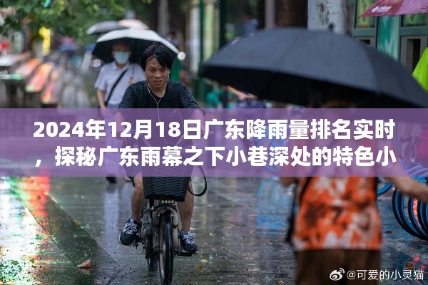 广东降雨实时排名背后的雨幕小巷特色小店探秘之旅