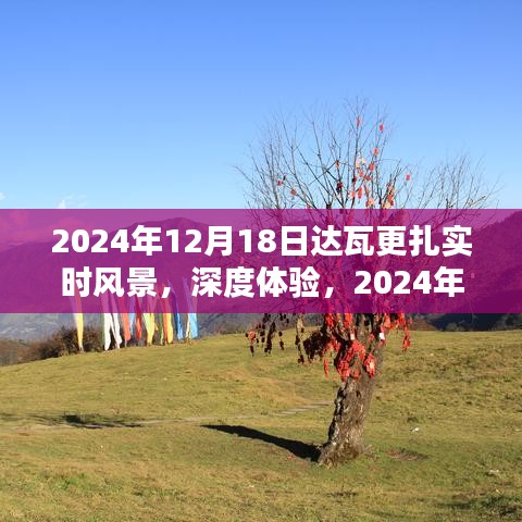 2024年达瓦更扎实时风景深度体验与全面评测介绍