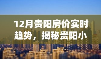 揭秘贵阳房价趋势与小巷特色小店背后的故事