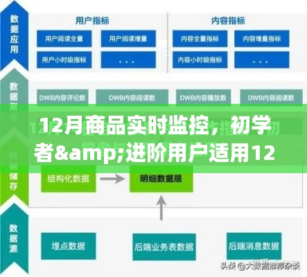 12月商品实时监控步骤指南，从初学者到进阶用户的实用指南