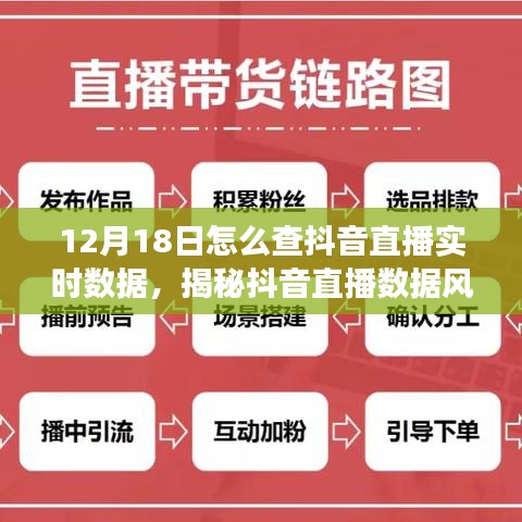 揭秘抖音直播数据风云，12月18日实时数据背后的故事与直播数据分析指南