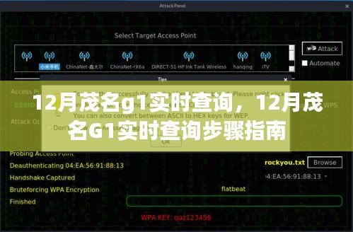 12月茂名G1实时查询攻略，轻松掌握查询步骤