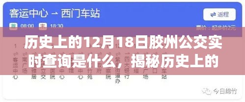 2024年12月20日 第20页