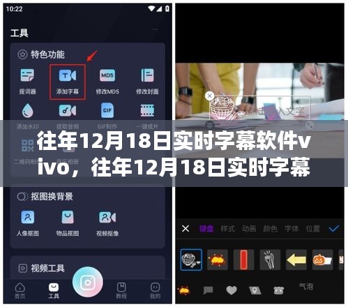 全面评测与介绍，历年12月18日实时字幕软件vivo的功能与特点解析
