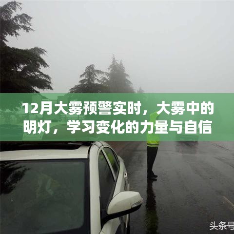 大雾中的明灯，学习变化的力量与自信绽放的预警实时指南