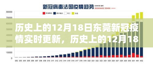 历史上的12月18日东莞新冠疫情实时更新，深度分析与观点论述