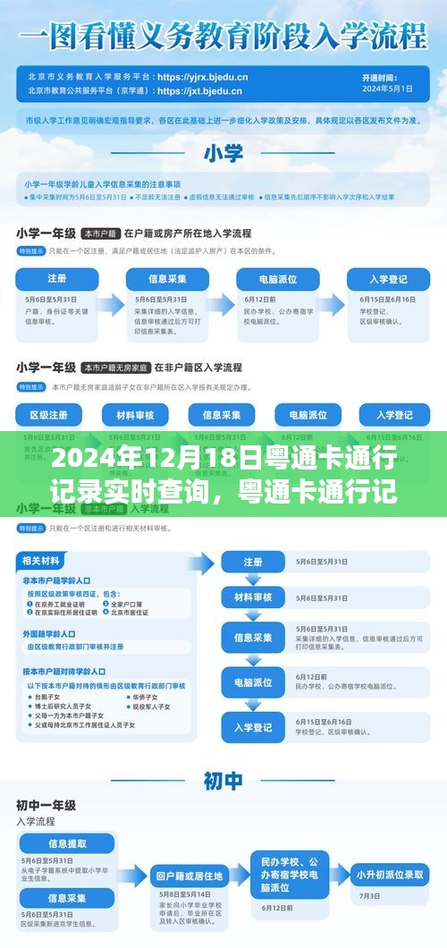 粤通卡通行记录实时查询指南（初学者与进阶用户适用）教你如何查询2024年通行记录