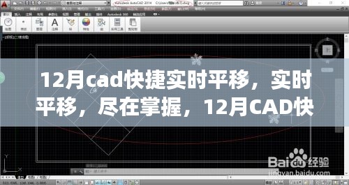 12月CAD快捷实时平移功能深度解析与评测，掌握实时平移技巧