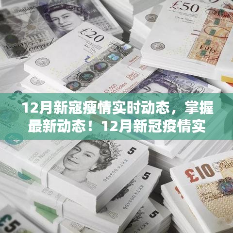 12月新冠疫情实时追踪，最新动态与应对策略指南