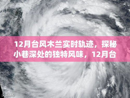 台风木兰下的美食探秘，隐秘小巷与台风中的独特风味小铺