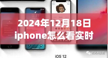 小红书独家揭秘，iPhone实时位置追踪全攻略（2024年12月18日版）