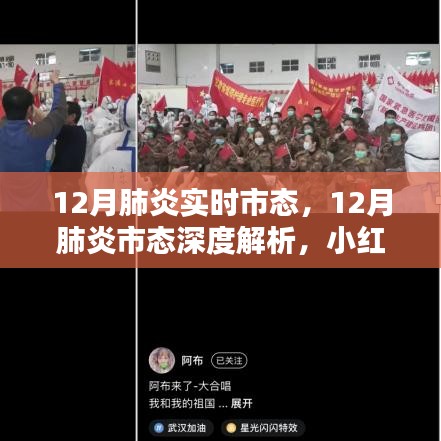 小红书深度解析，12月肺炎市态实时观察与态势洞悉