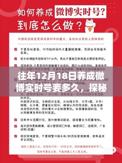 探秘微博实时号成长之旅，特色小店的养成秘密与实时号成长周期揭秘