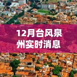 泉州台风实时动态，科技守护者的前沿智能系统介绍