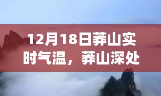 12月18日莽山实时气温下的独特美食之旅，深山珍馔饕餮体验