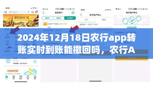 农行APP转账实时到账功能详解，体验、评价与撤回问题探讨