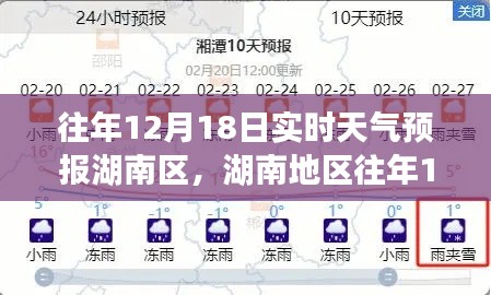 2024年12月21日 第8页