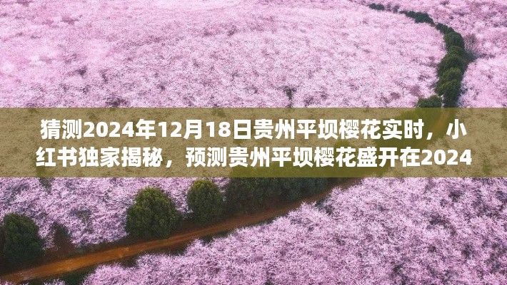 小红书独家预测，贵州平坝樱花2024年绚烂盛开瞬间揭秘！