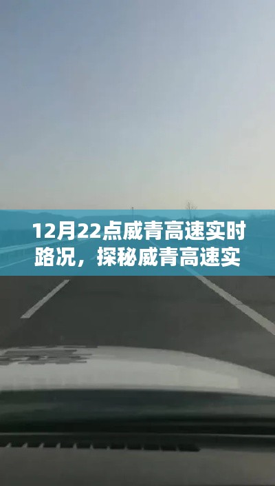 探秘威青高速实时路况下的隐秘美味，特色小店奇遇记在深夜小巷深处