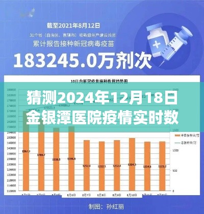 2024年12月18日金银潭医院疫情实时数据预测，未来态势分析与洞察