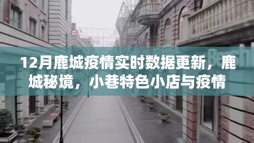 鹿城疫情实时数据与特色小巷温暖，鹿城秘境中的温情更新