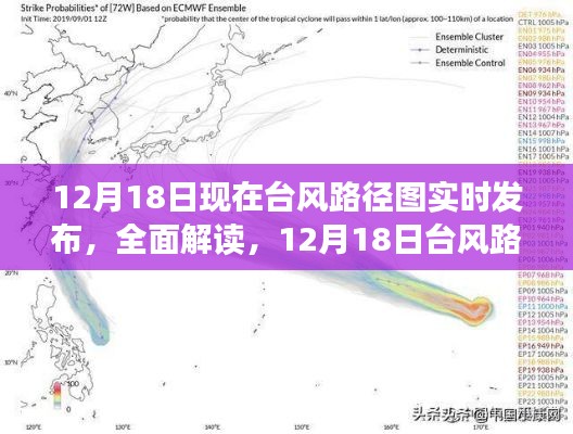 12月18日台风路径图实时发布系统详解，特性、体验、竞品对比及用户群体分析报告