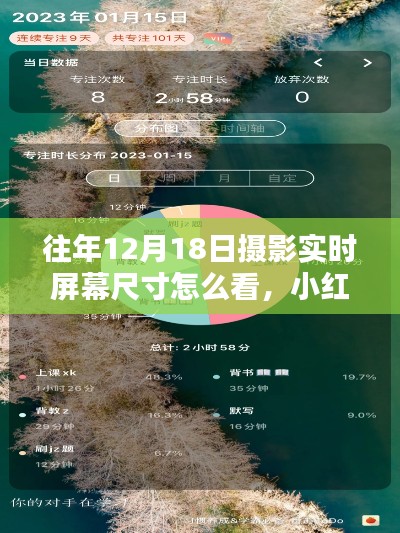 小红书独家揭秘，如何实时掌握摄影屏幕尺寸与观看技巧——往年12月18日摄影爱好者必看指南