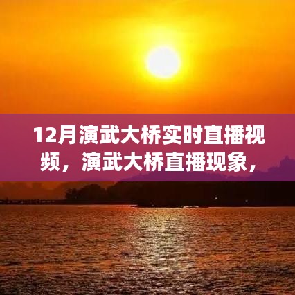 演武大桥直播现象深度探讨，实时视频引发广泛观点阐述