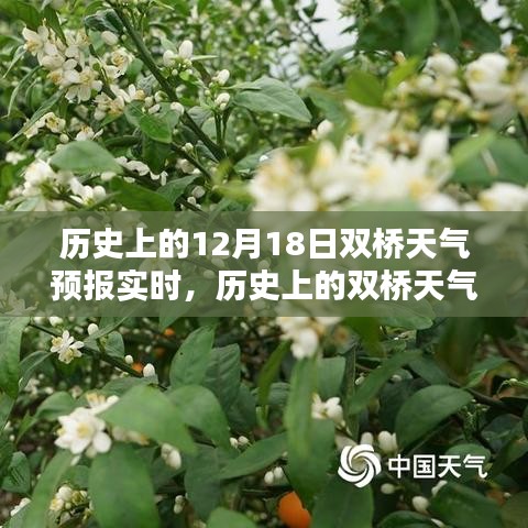 时光深处的奥秘，历史上的双桥天气预报实时查询与深度探寻