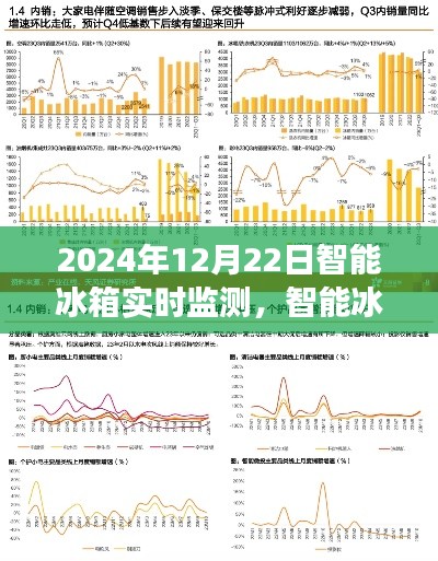 2024年视角下的智能冰箱实时监测，未来展望与探讨