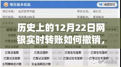 揭秘网银实时转账撤销背后的秘密，神秘转账故事与特色小店的奇遇历程