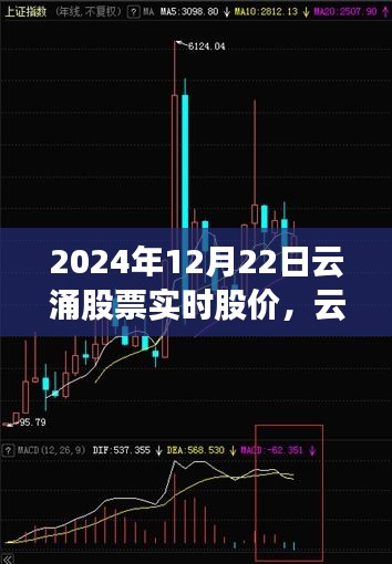 云涌股票，实时股价背后的温情故事与家庭式投资之旅（2024年12月22日）