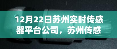 苏州传感器平台公司日常，冬日暖阳下的传感器小天地