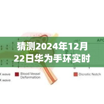 华为手环实时监测心率技术展望，未来健康管理革新的引领者，预测华为手环在2024年12月22日的最新进展