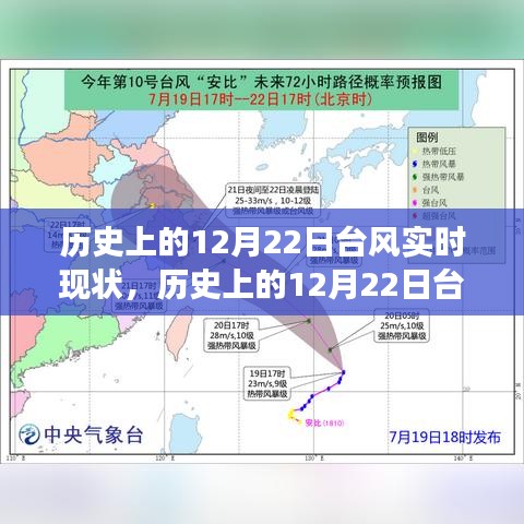 历史上的12月22日台风实时现状分析，多方观点与个人立场探讨