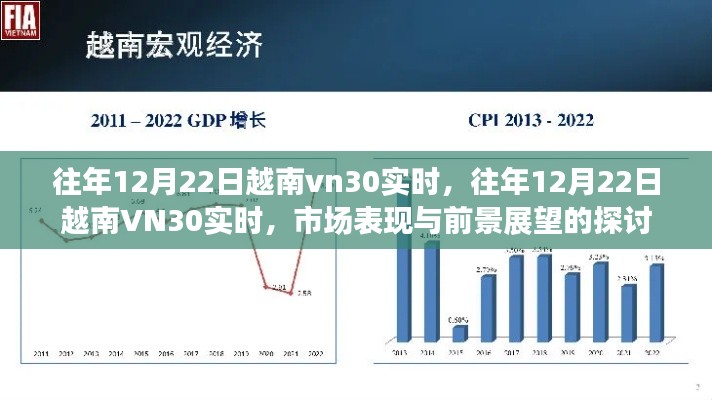 往年12月22日越南VN30实时，市场表现与前景展望的深入探讨