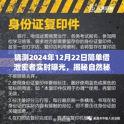 揭秘简单借泄密者曝光日，心灵之旅探寻自然秘境，准备好了吗？